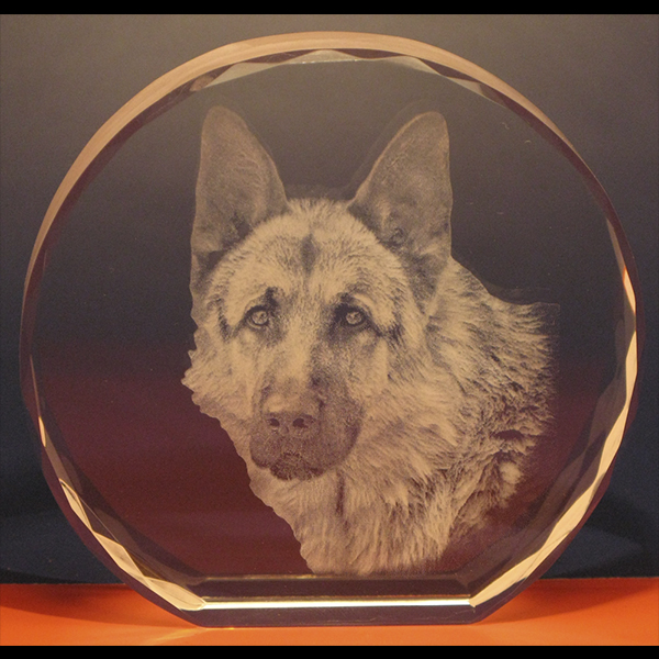 Портрет знакомой собаки - фото в ограненном стекле